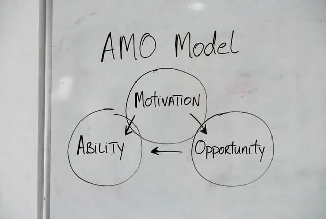 The AMO Model Explained: Ability, Motivation and Opportunity in HR